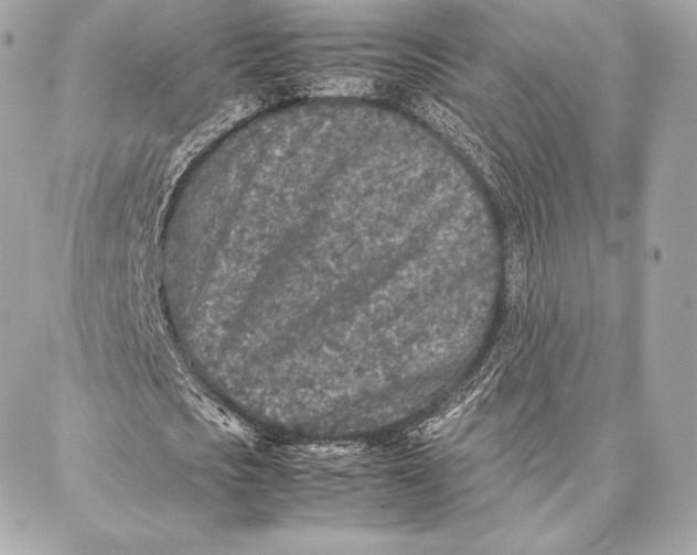 X0000087360721200705111644