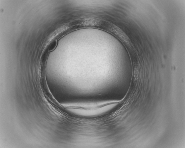 X0000087360722200705111644