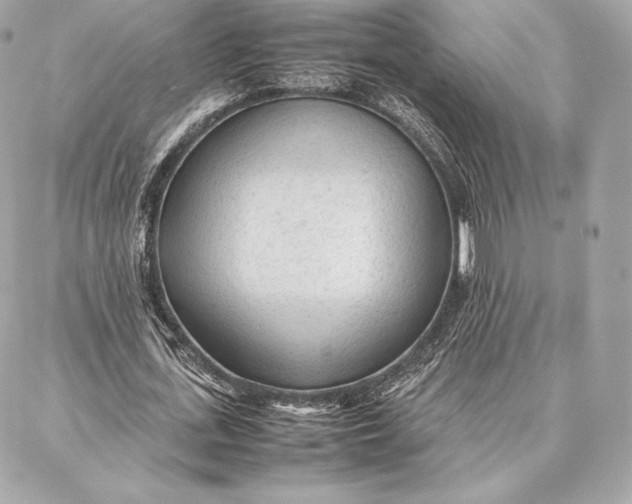 X0000087360723200705111644