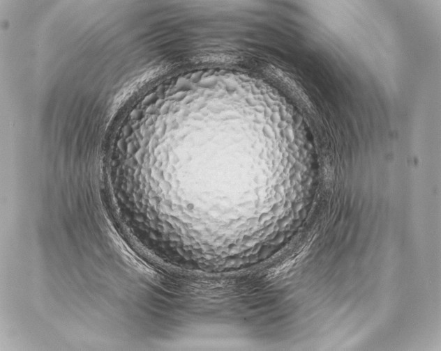 X0000087360725200705111644