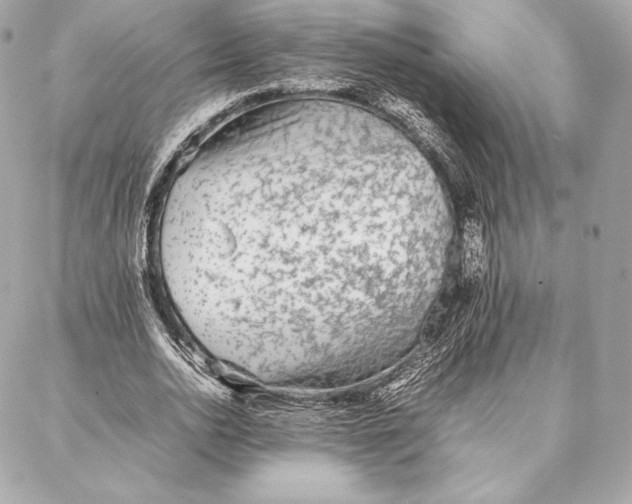 X0000087360726200705111644