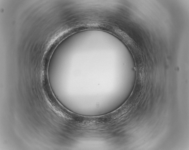 X0000087360728200705111644