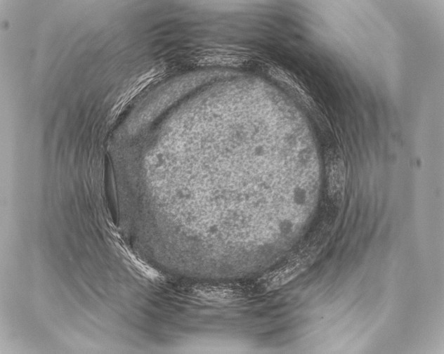 X0000087360729200705111644