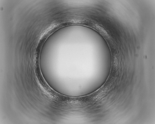 X0000087360730200705111644