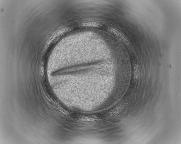 X0000087360731200705111644