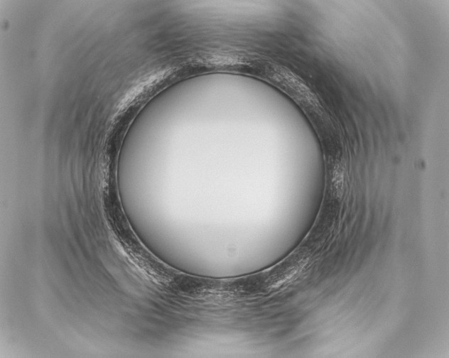 X0000087360732200705111644