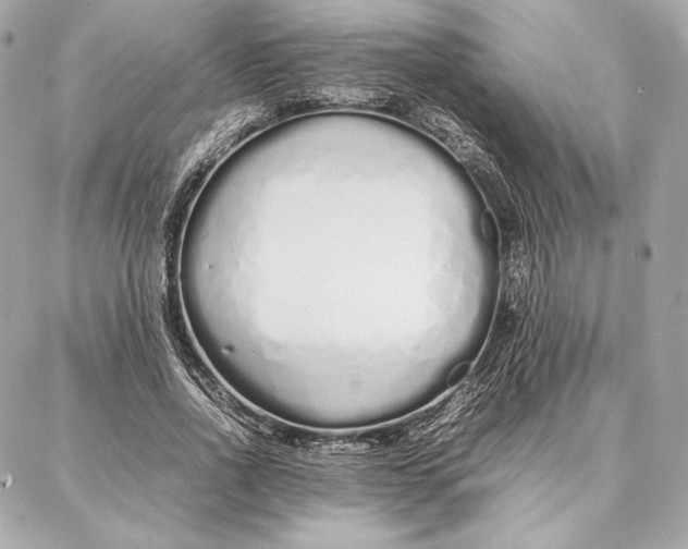 X0000087360734200705111644