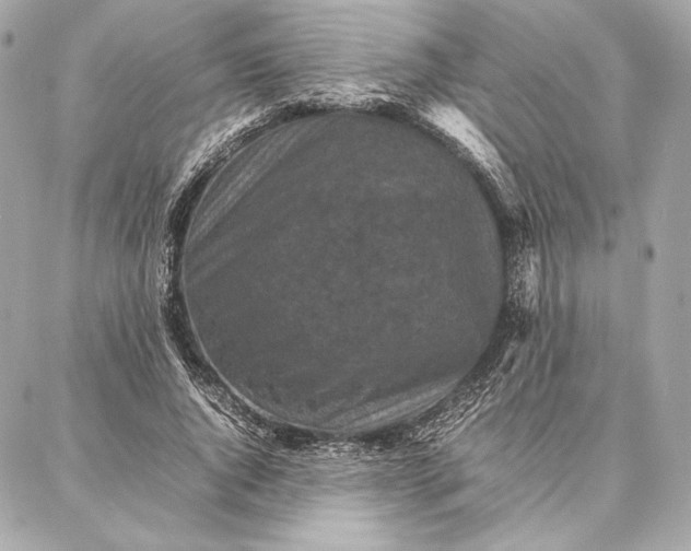 X0000087360736200705111644