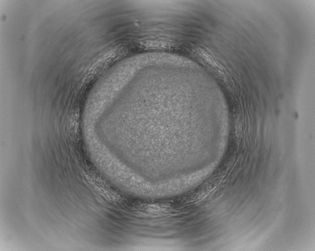 X0000087360737200705111644