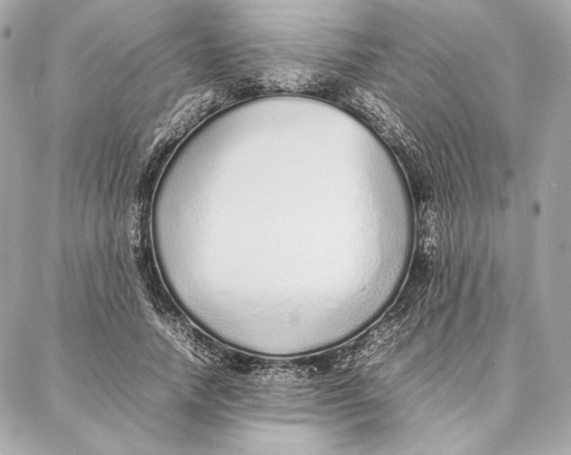 X0000087360738200705111644