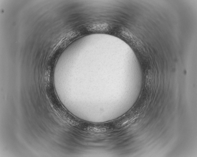 X0000087360739200705111644