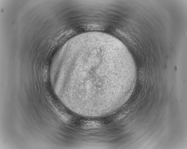 X0000087360741200705111644