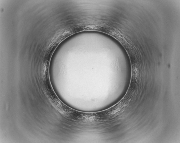 X0000087360742200705111644