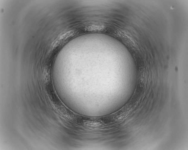 X0000087360743200705111644