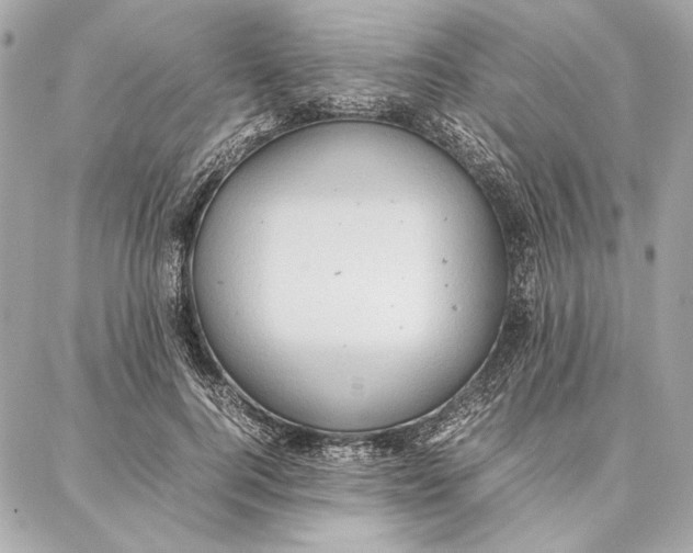 X0000087360744200705111644