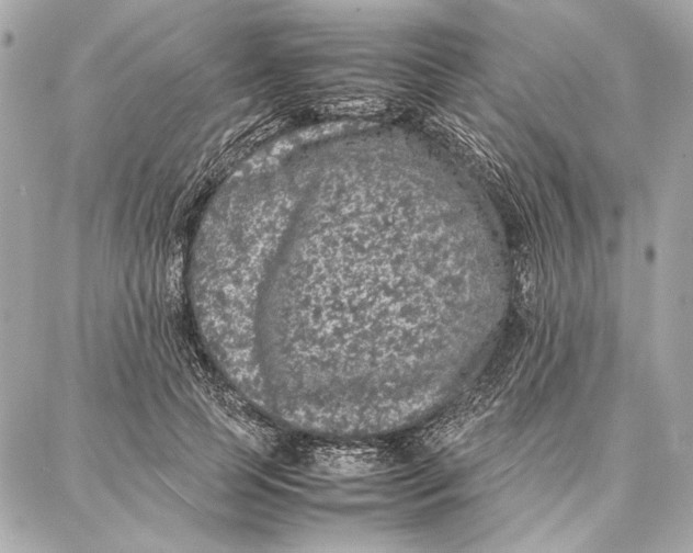 X0000087360745200705111644