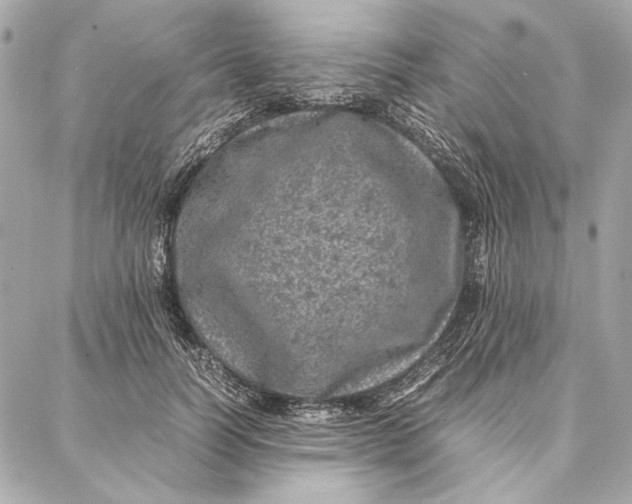 X0000087360746200705111644