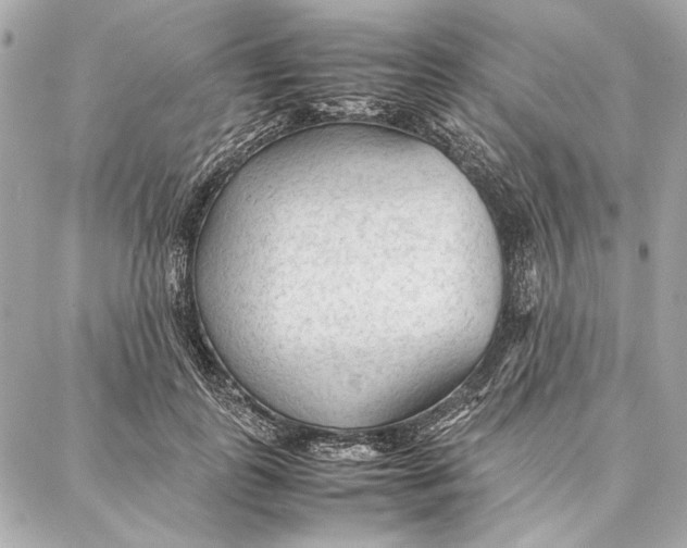 X0000087360747200705111644