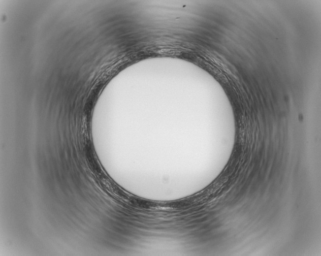 X0000087360748200705111644