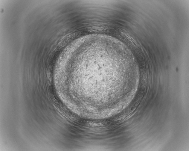 X0000087360749200705111644