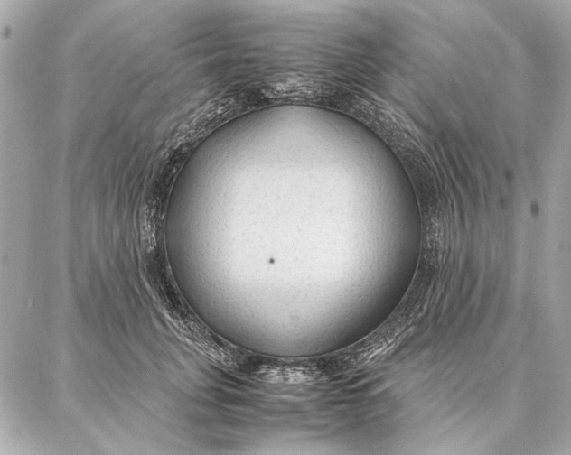 X0000087360751200705111644