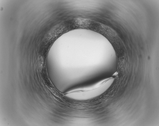 X0000087360752200705111644