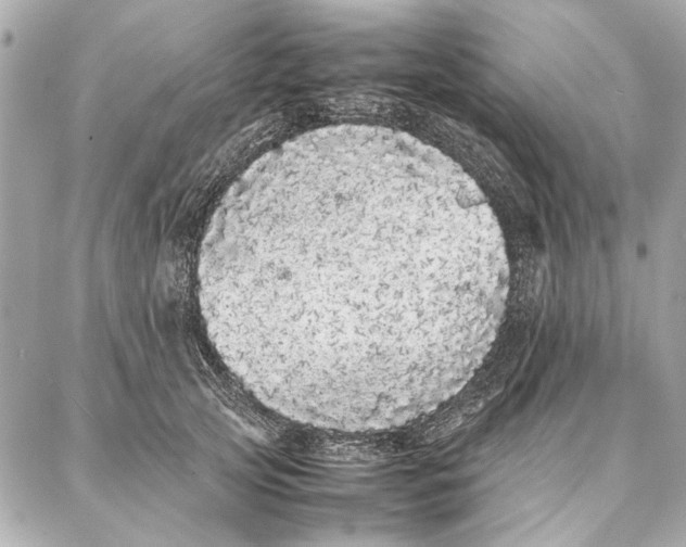 X0000087360753200705111644