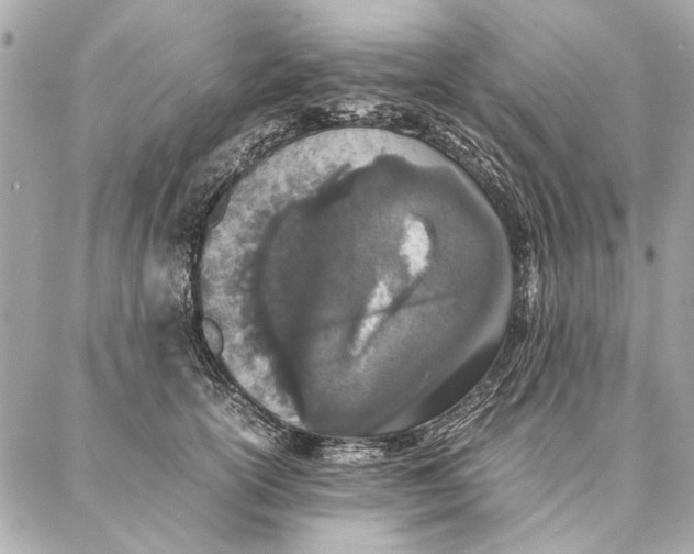 X0000087360754200705111644