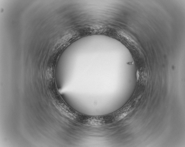 X0000087360756200705111645