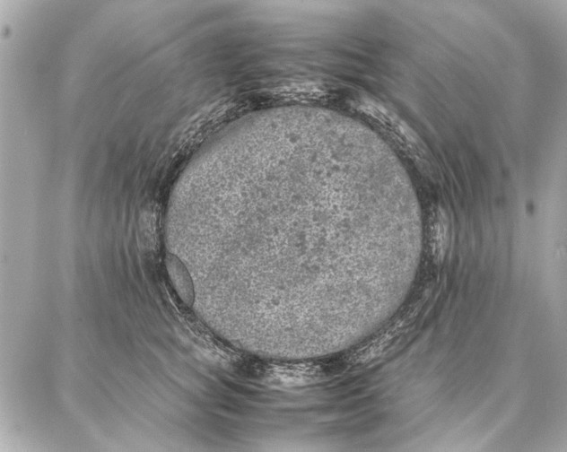 X0000087360757200705111645