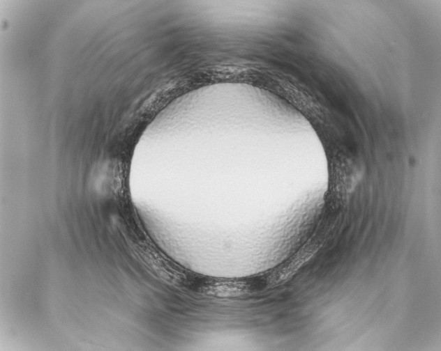 X0000087360758200705111645