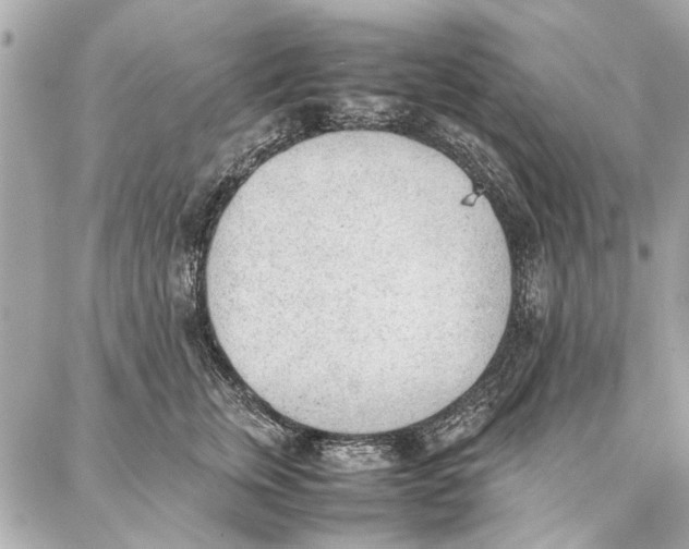 X0000087360759200705111645