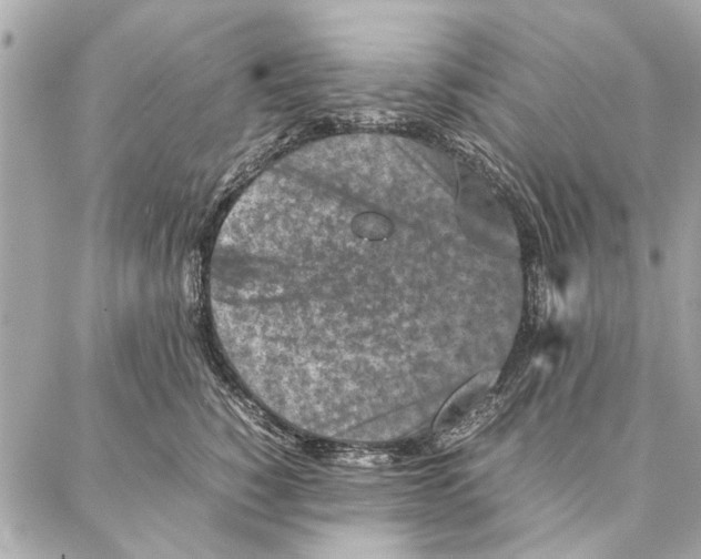 X0000087360760200705111645