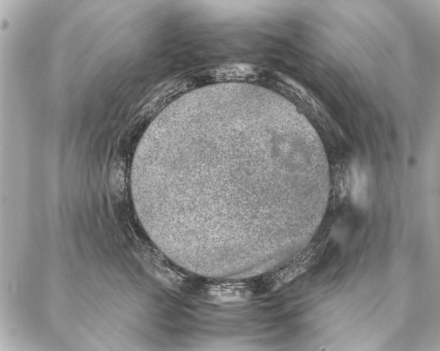 X0000087360761200705111645