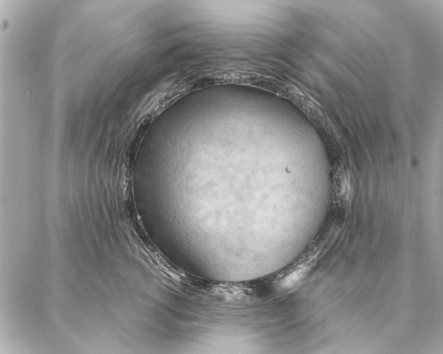 X0000087360762200705111645