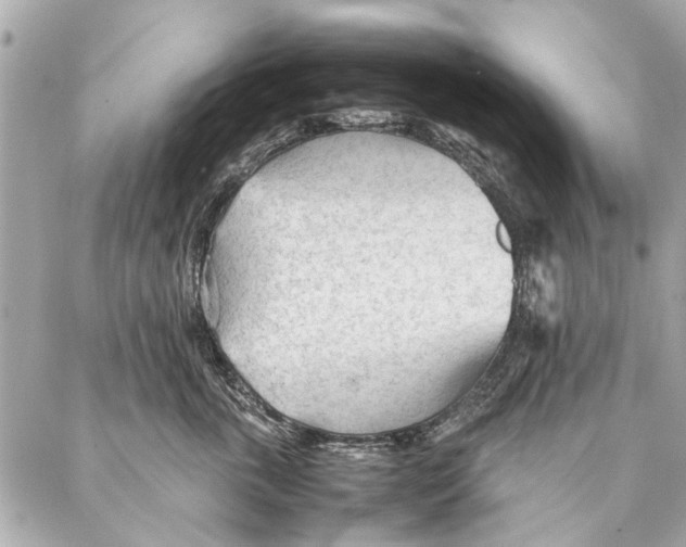 X0000087360763200705111645