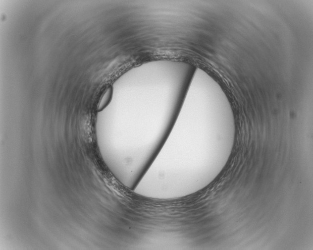 X0000087360764200705111645