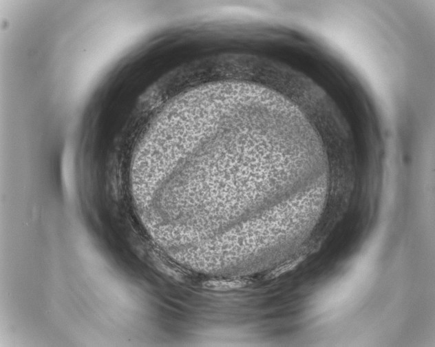 X0000087360765200705111645