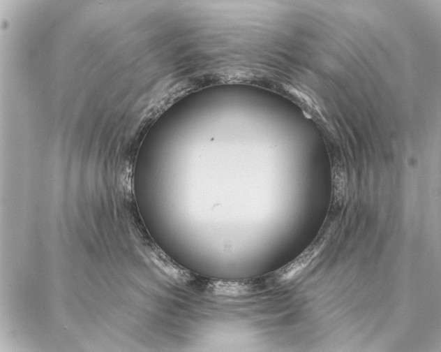 X0000087360766200705111645