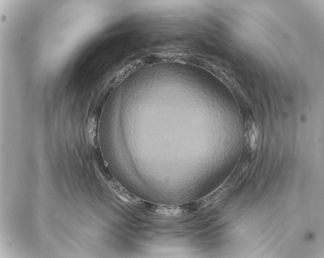 X0000087360767200705111645