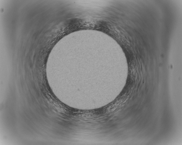 X0000087360769200705111644