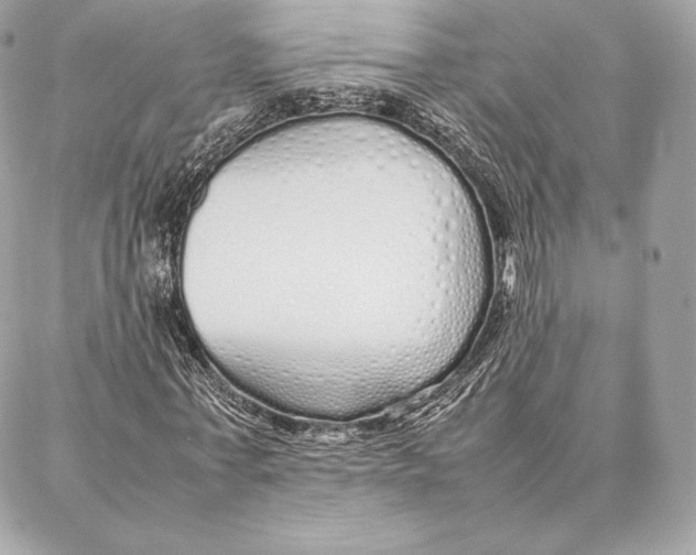 X0000087360771200705111644