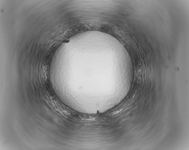 X0000087360772200705111644