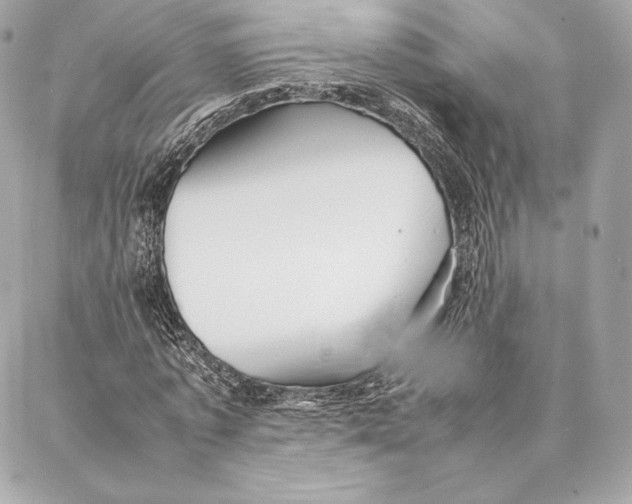 X0000087360773200705111644