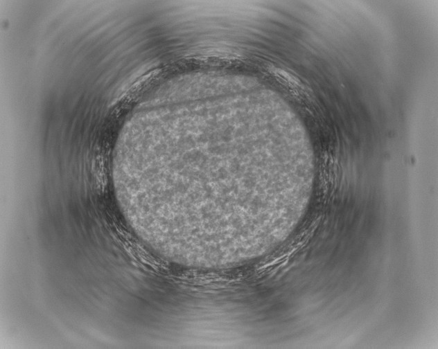 X0000087360774200705111644