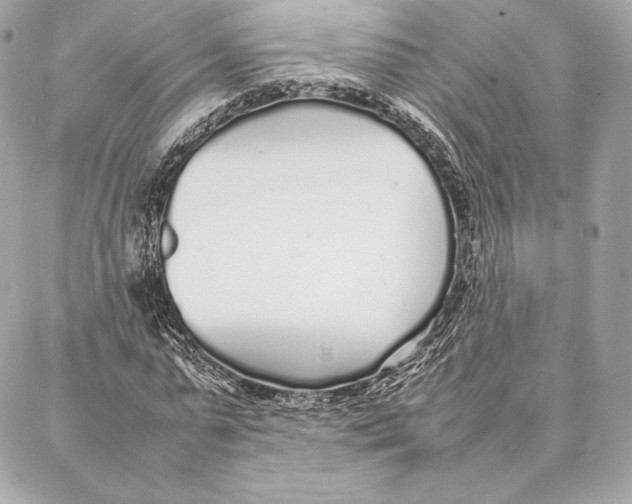 X0000087360775200705111644