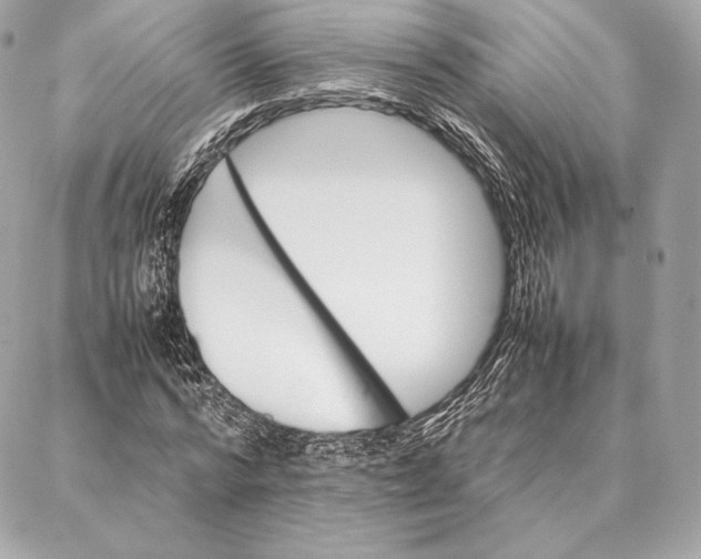 X0000087360776200705111644