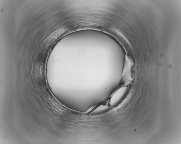 X0000087360777200705111644