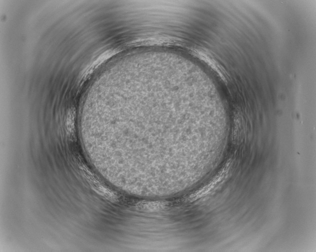 X0000087360778200705111644