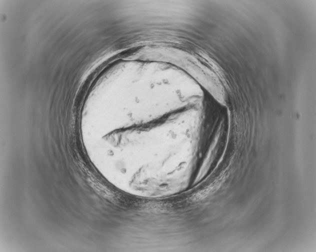 X0000087360779200705111644